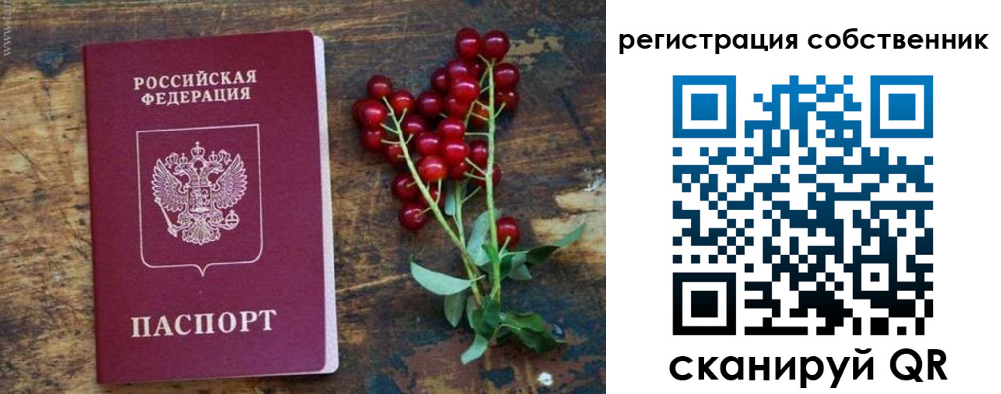 регистрация для дет. сада в Амурске